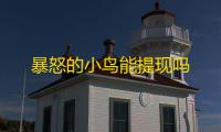 暴怒的小鸟能提现吗